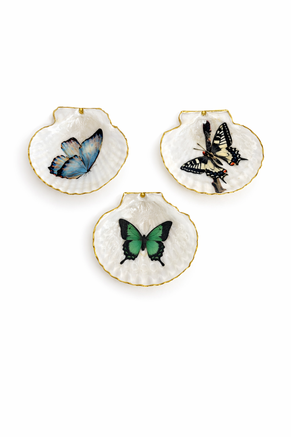 Butterfly Collection Set
