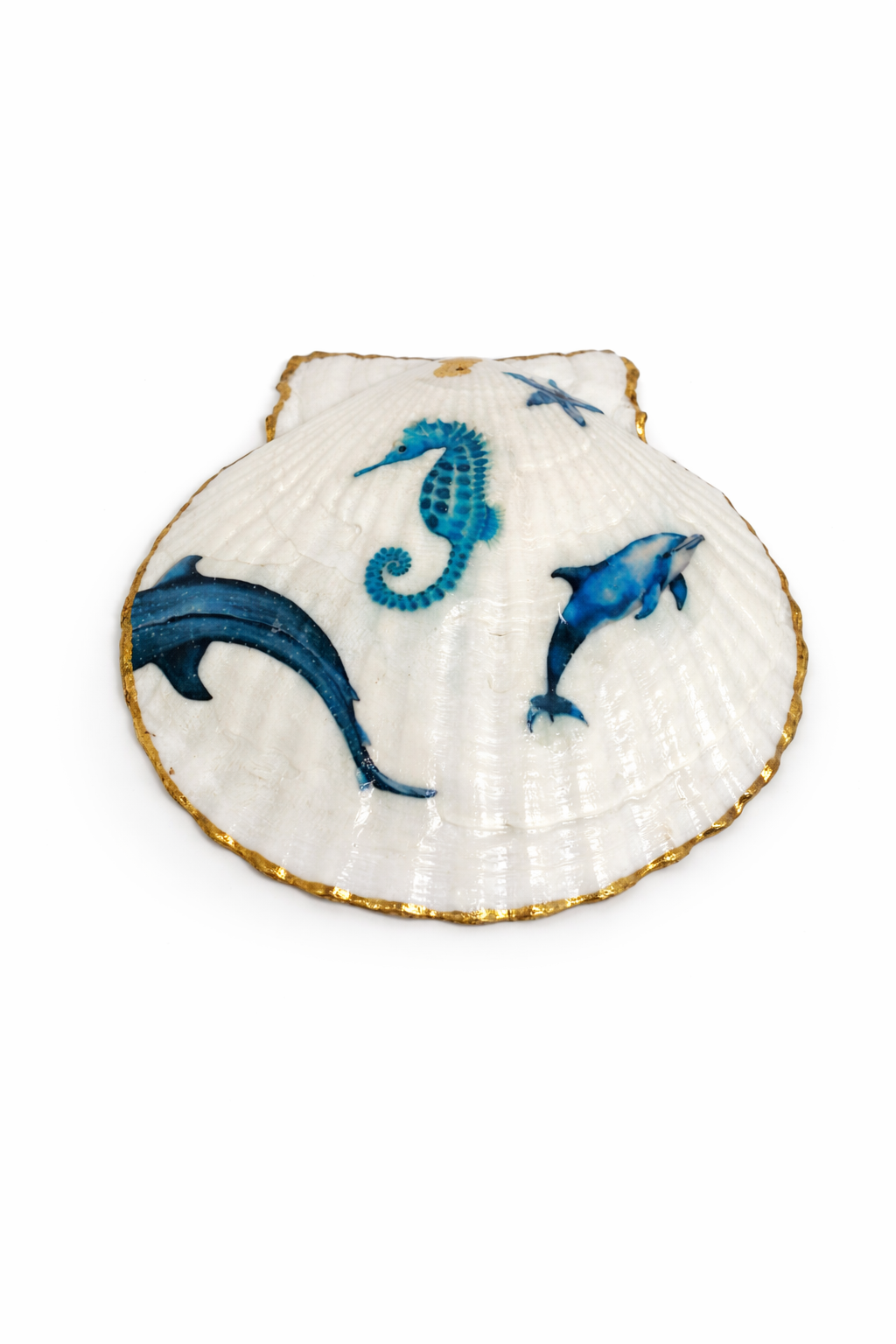 Under the Sea Collection