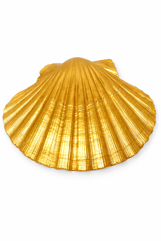 Blue Floral Collection