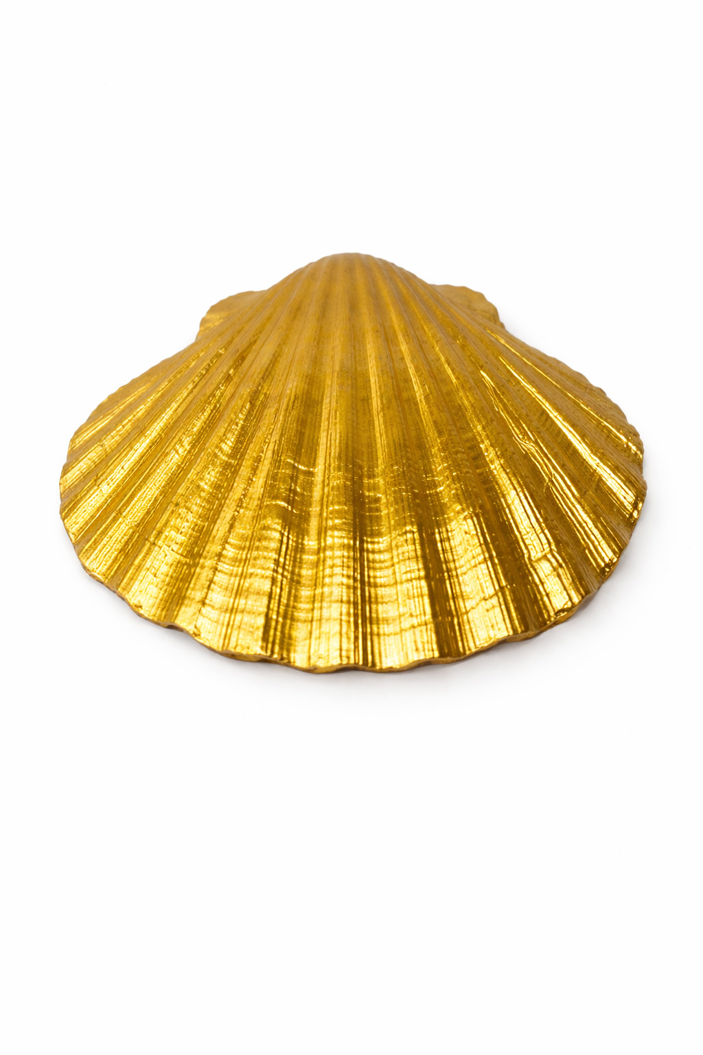Pink Lily Pond Shell Collection