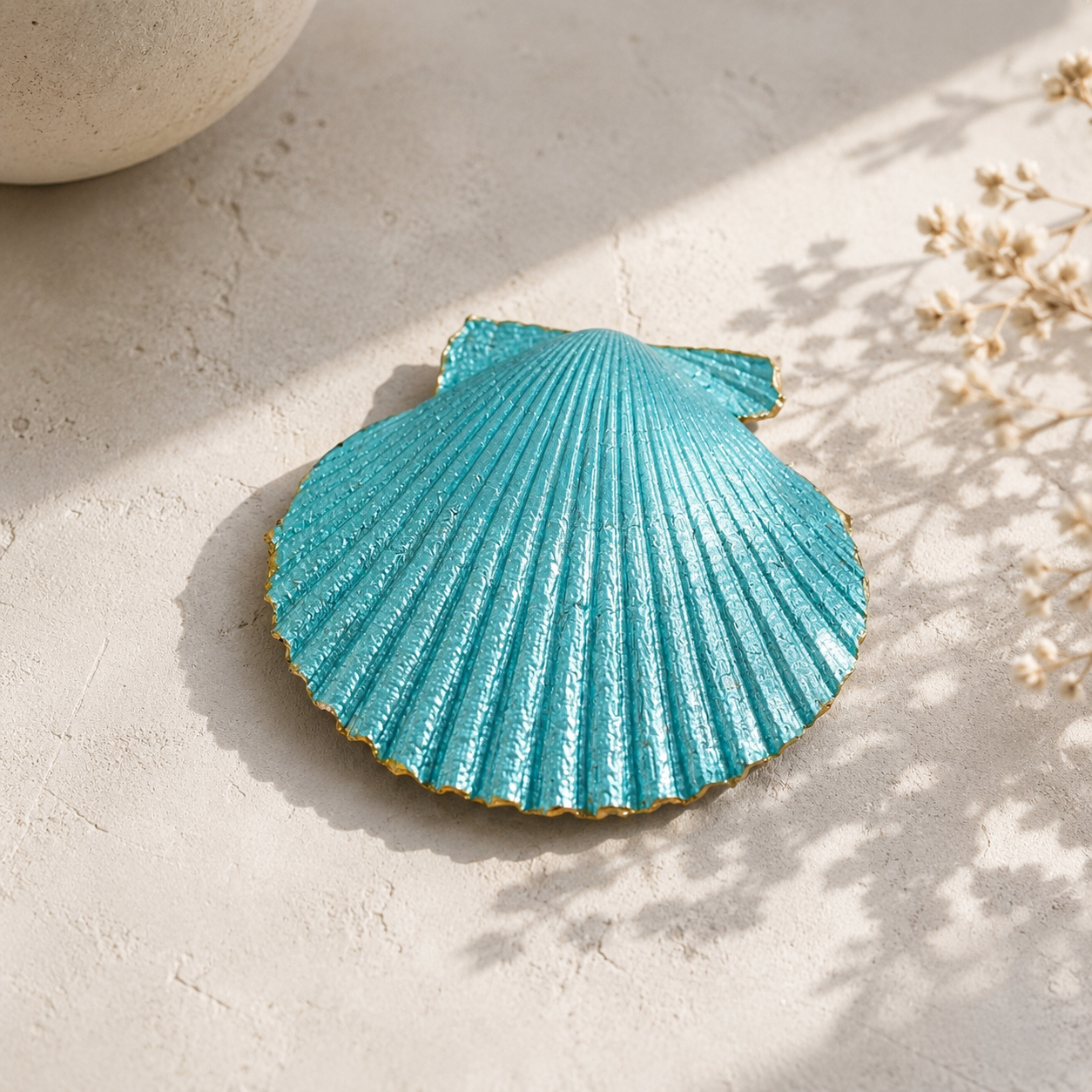 Mediterranean Shell Collection
