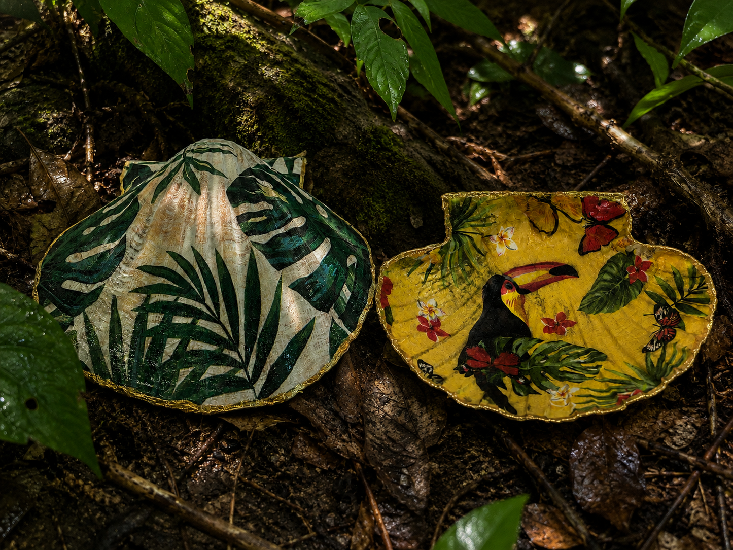 Tropical Toucan Collection