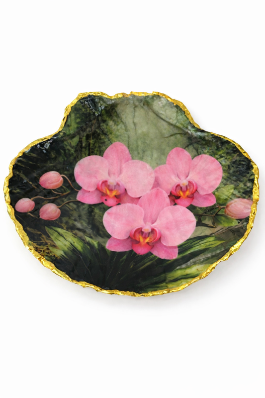 Pink Orchid Collection