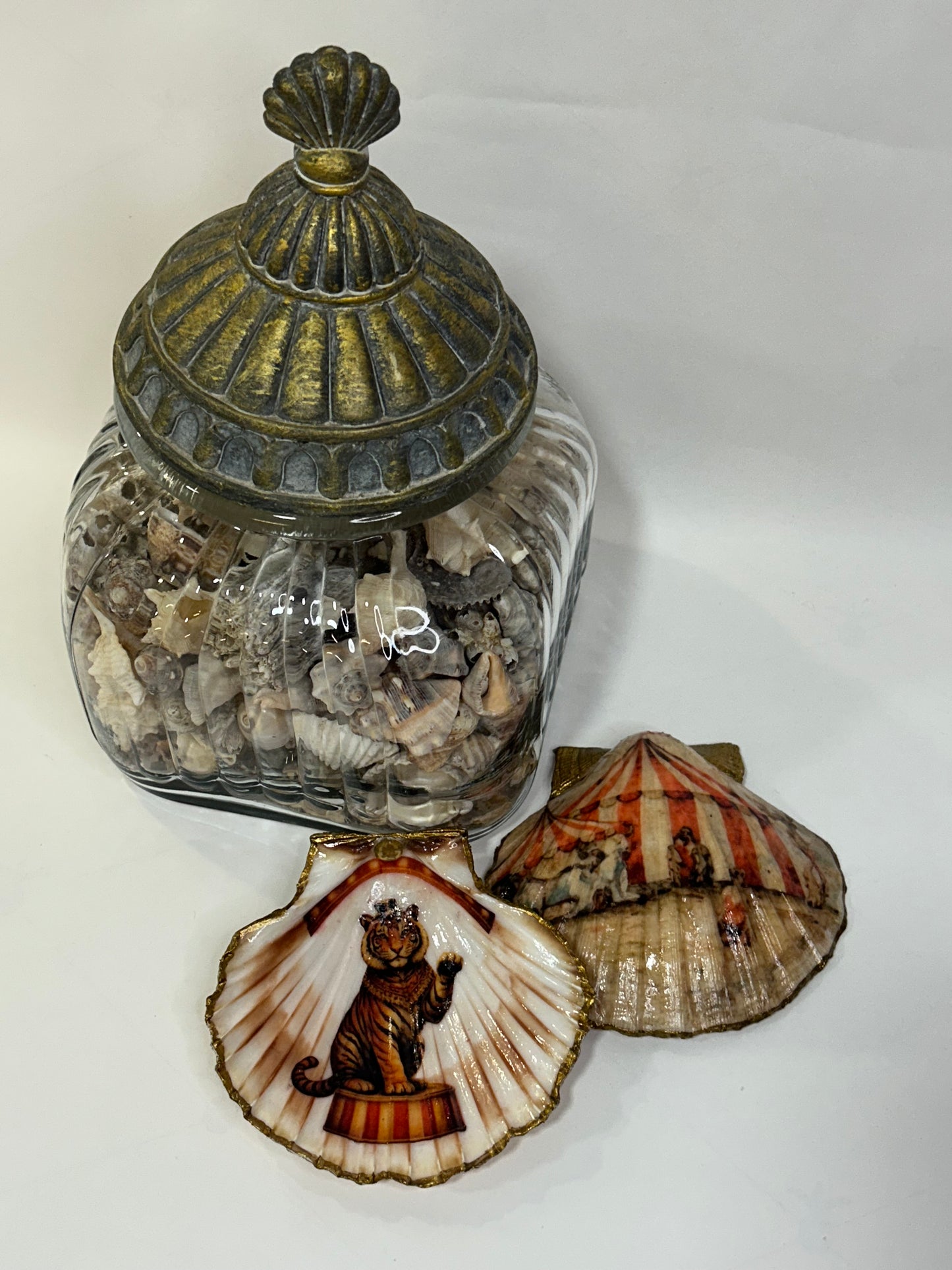 Circa 1920 Collection