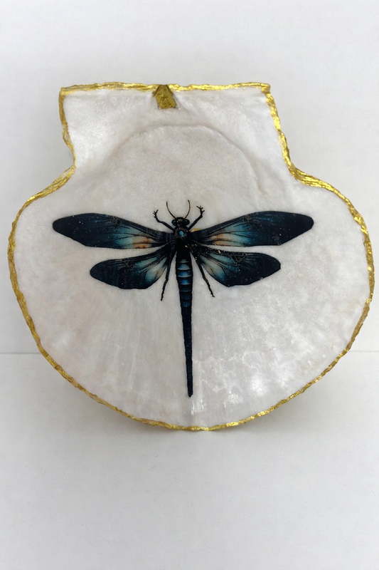 Black Dragonfly Collection