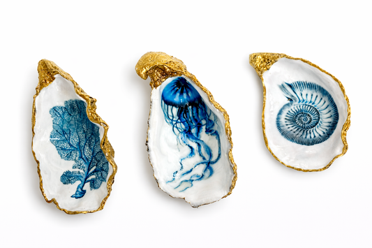 Under the Sea Oyster Collection Set