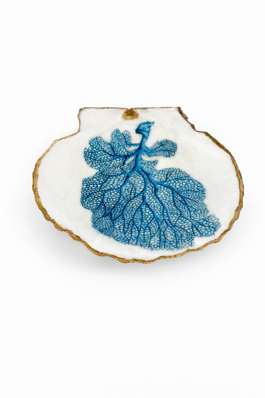 Under the Sea Collection