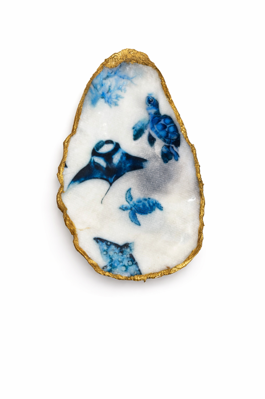 Under the Sea Flat Oyster Collection