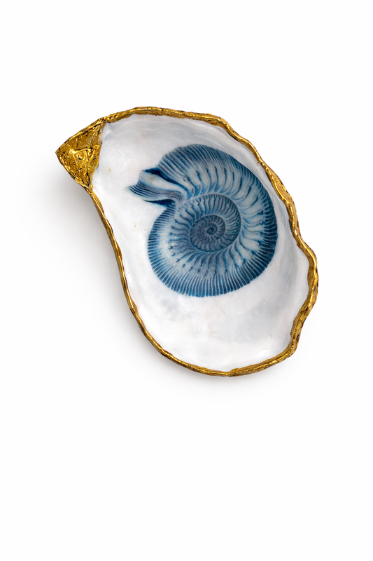 Under the Sea Oyster Collection