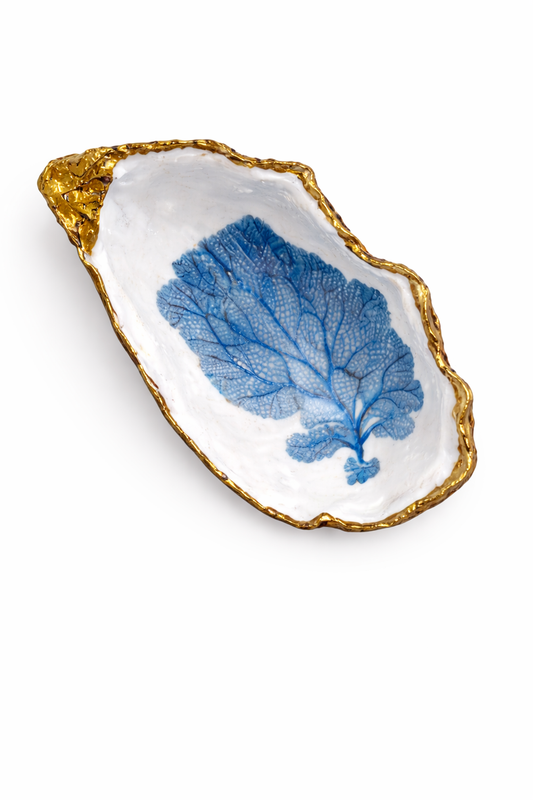 Under the Sea Oyster Collection