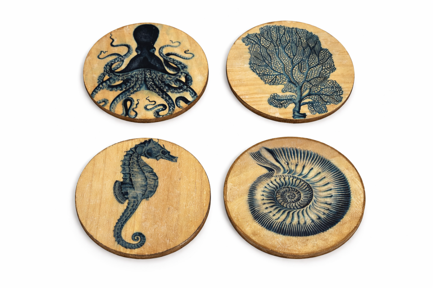Under the Sea Coasters ( Set of 4)