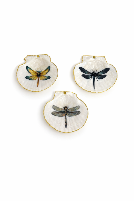 Dragonfly Collection Set