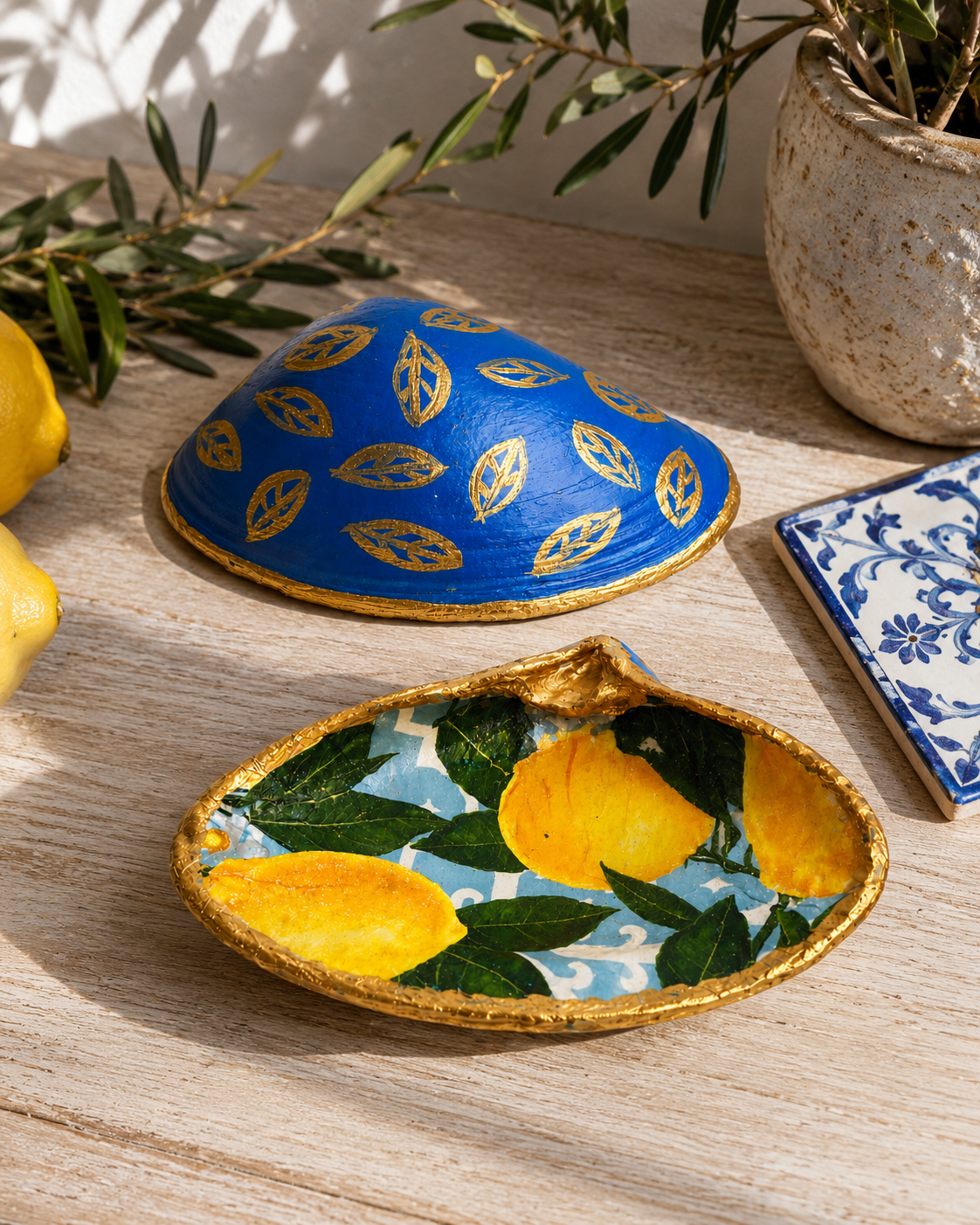 Mediterranean Blue & Lemon Atlantic Shell Collection