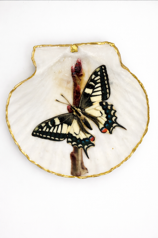 Yellow Butterfly Collection