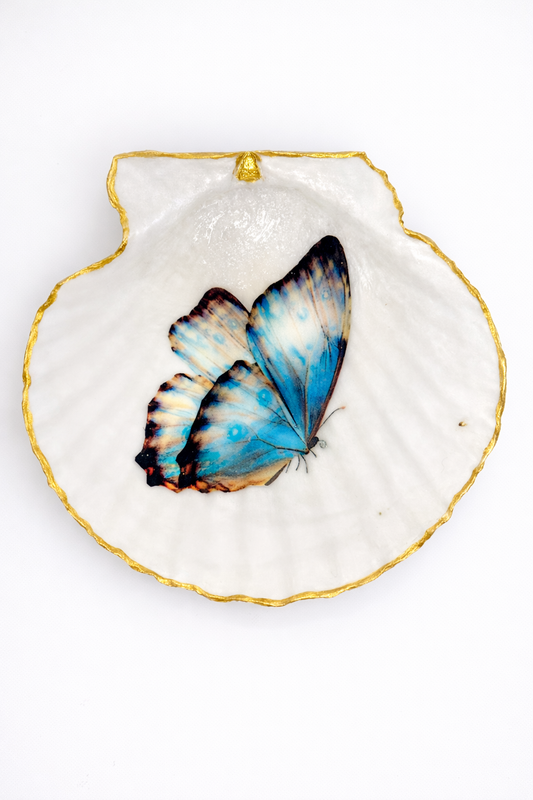 Blue Butterfly Collection