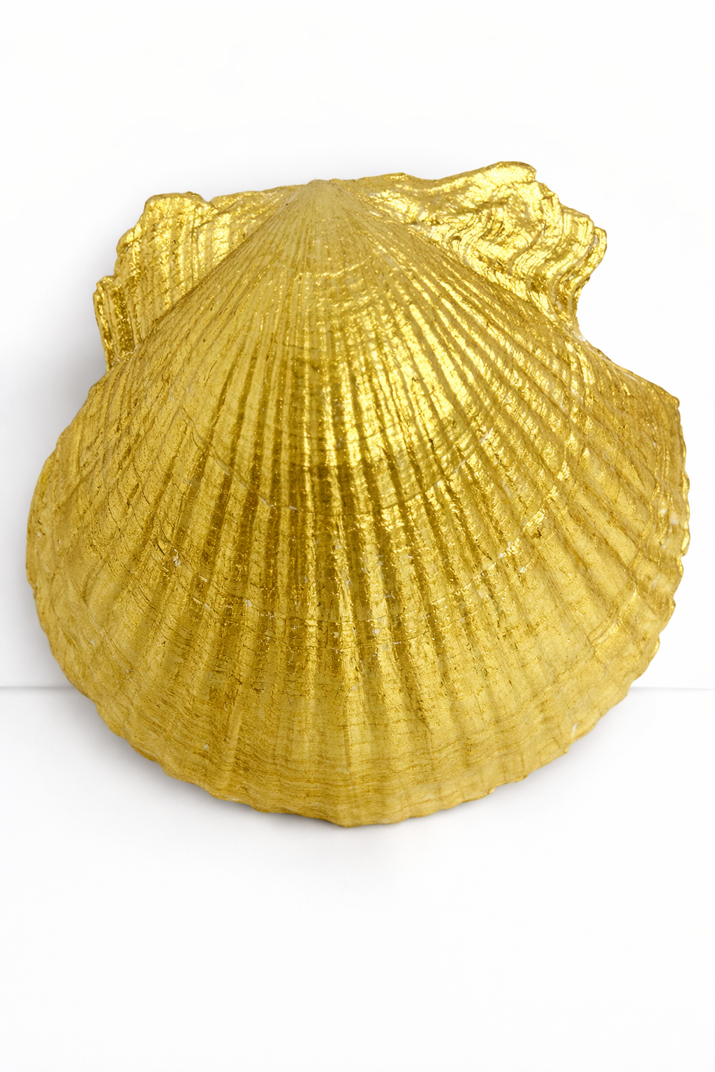 Amber Butterfly Collection