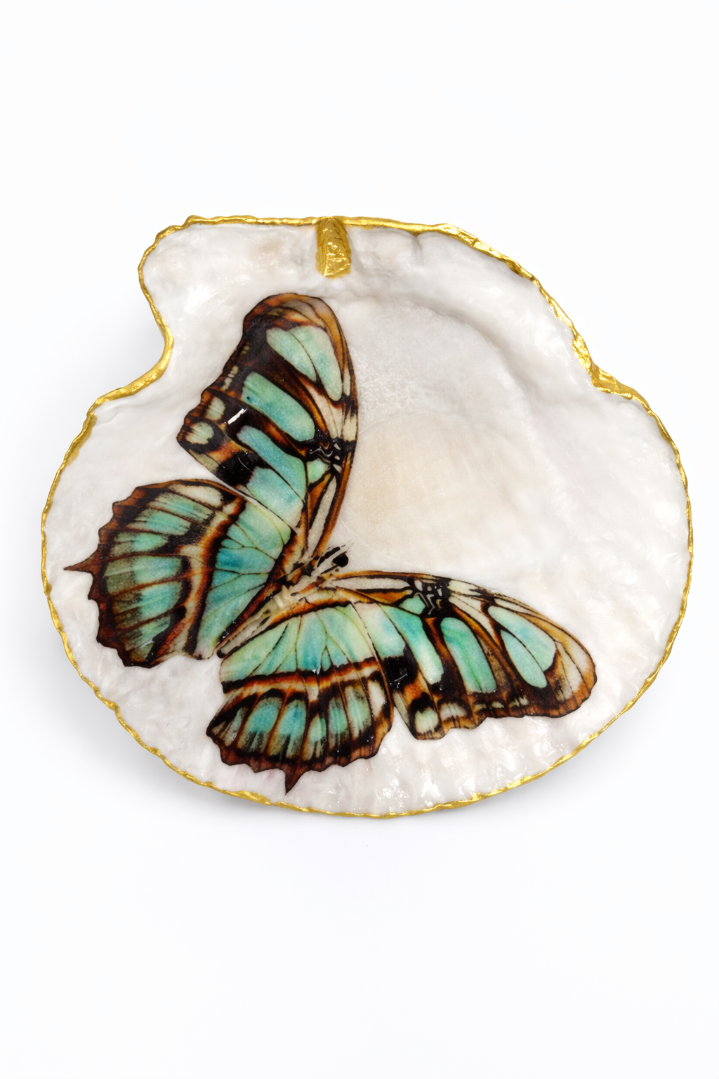 Green Butterfly Collection