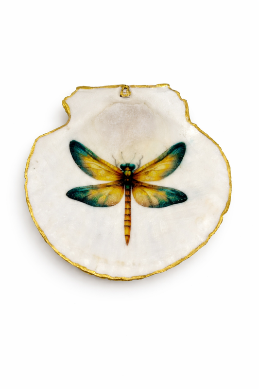 Dragonfly collection