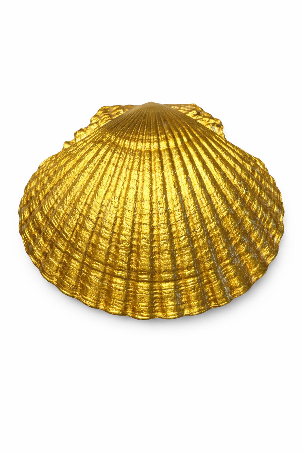 Dragonfly Collection