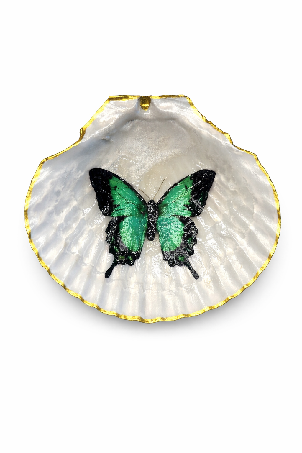 Green Butterfly Collection