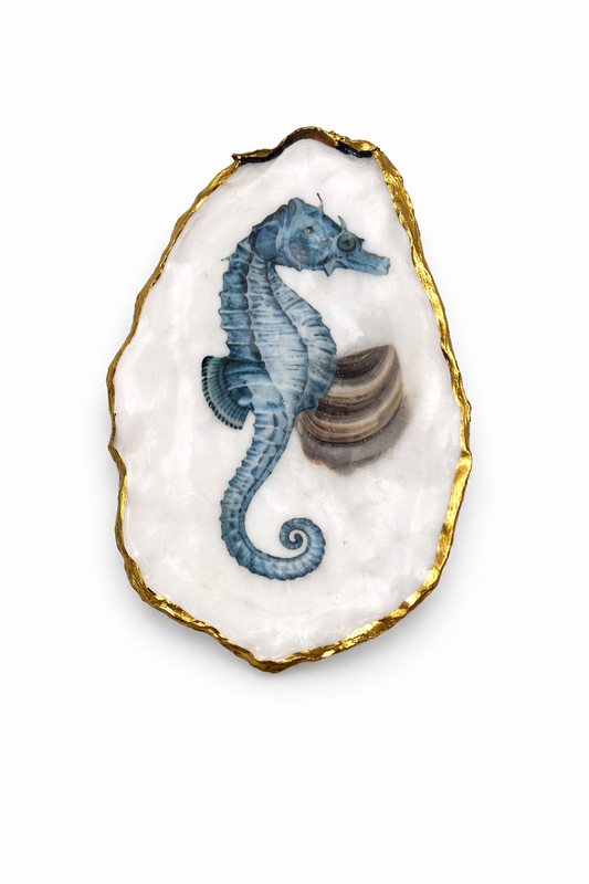 Under the Sea Flat Oyster Collection