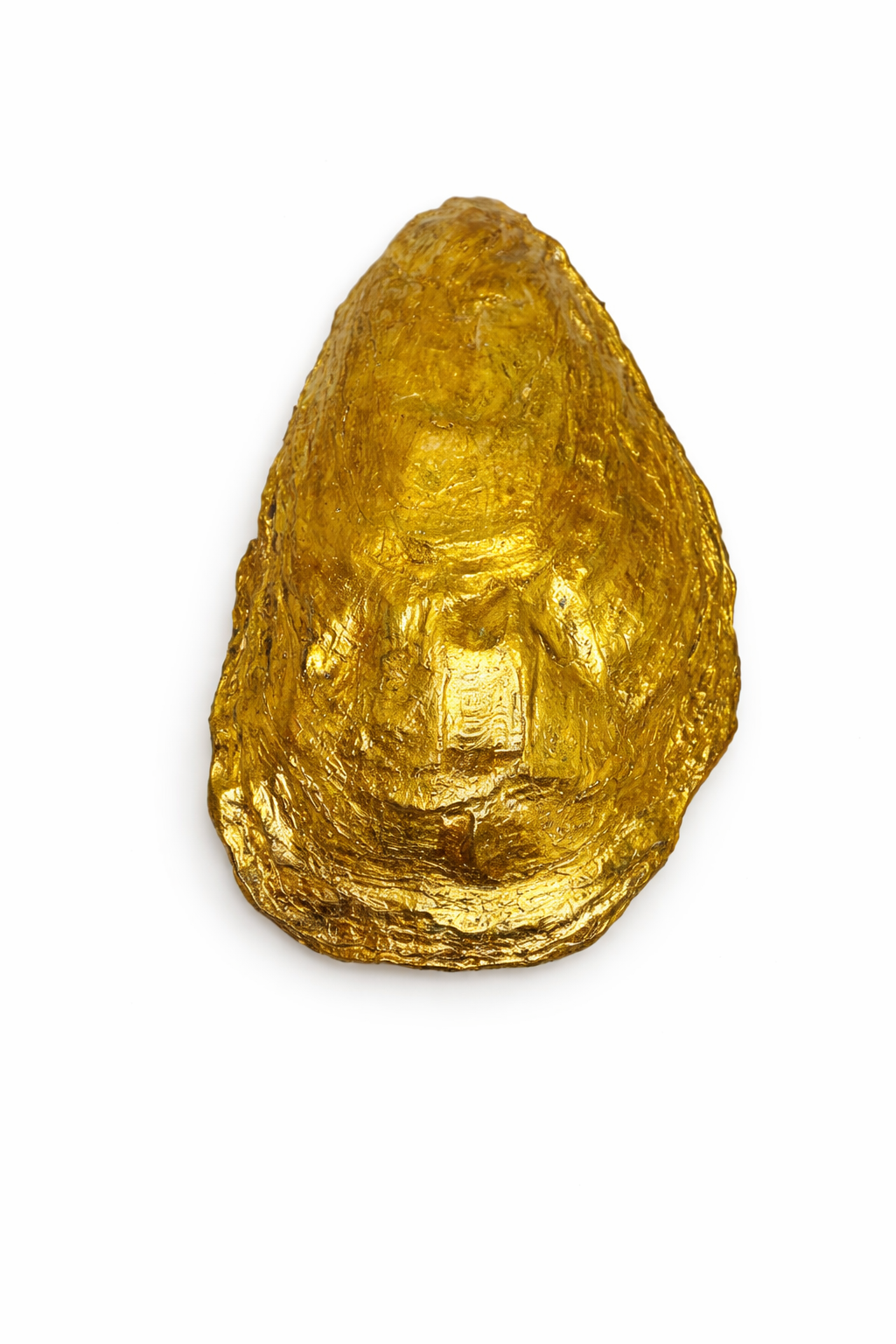 Under the Sea Oyster Collection