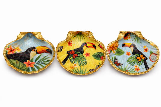 Toucan Collection Set