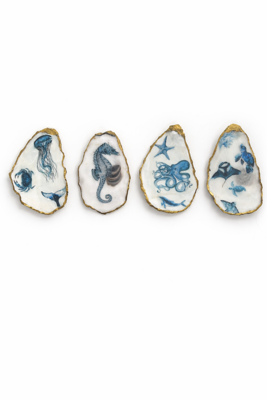 Under the Sea Flat Oyster Set