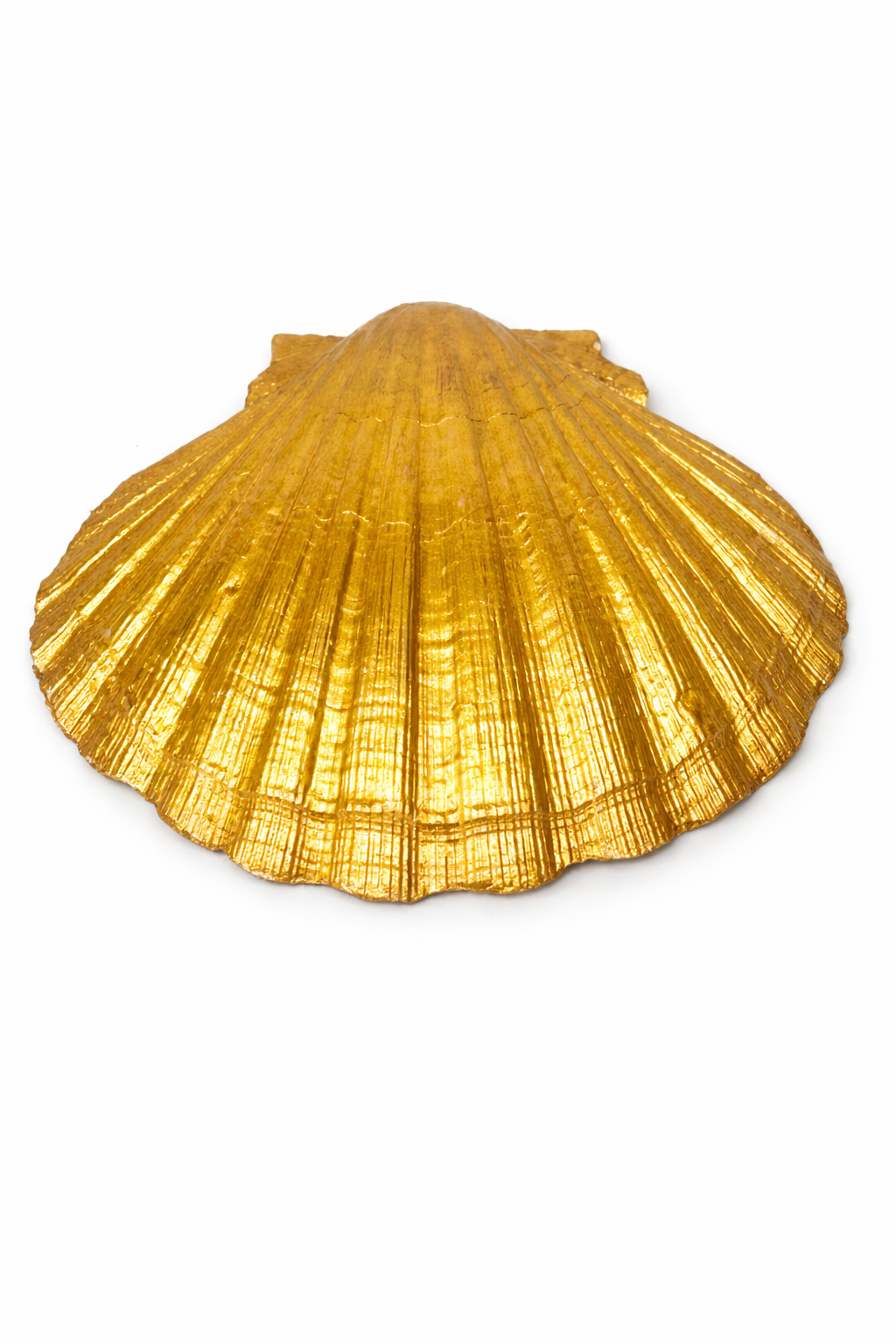 Pink Floral Collection