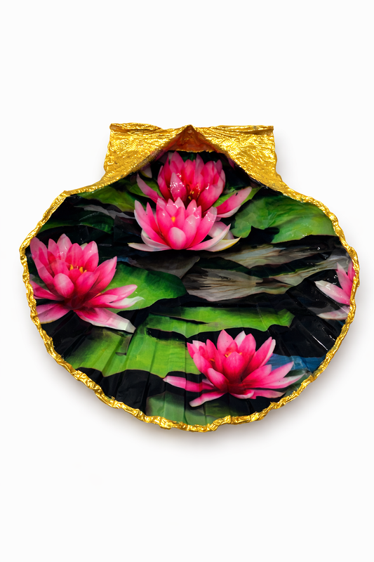 Pink Lily Pond Shell Collection