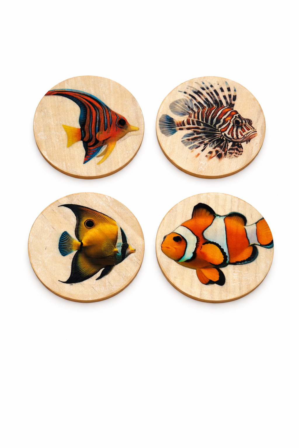 Tropical Fish Coasters (Set of 4)