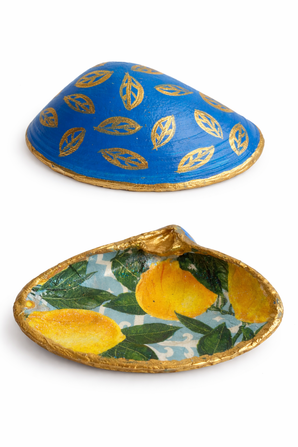 Mediterranean Blue & Lemon Atlantic Shell Collection