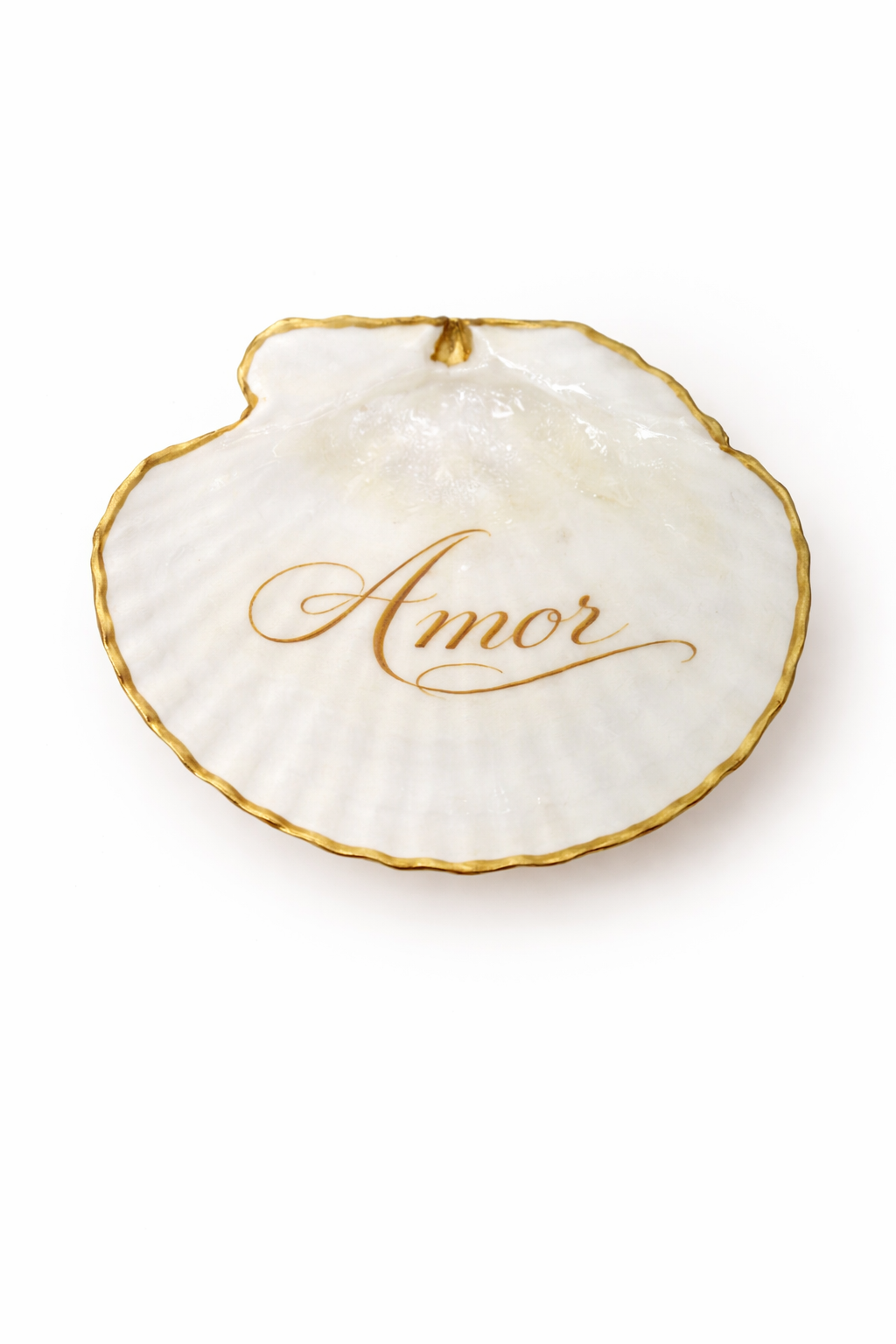 Wedding Shell Collection (Personalized)