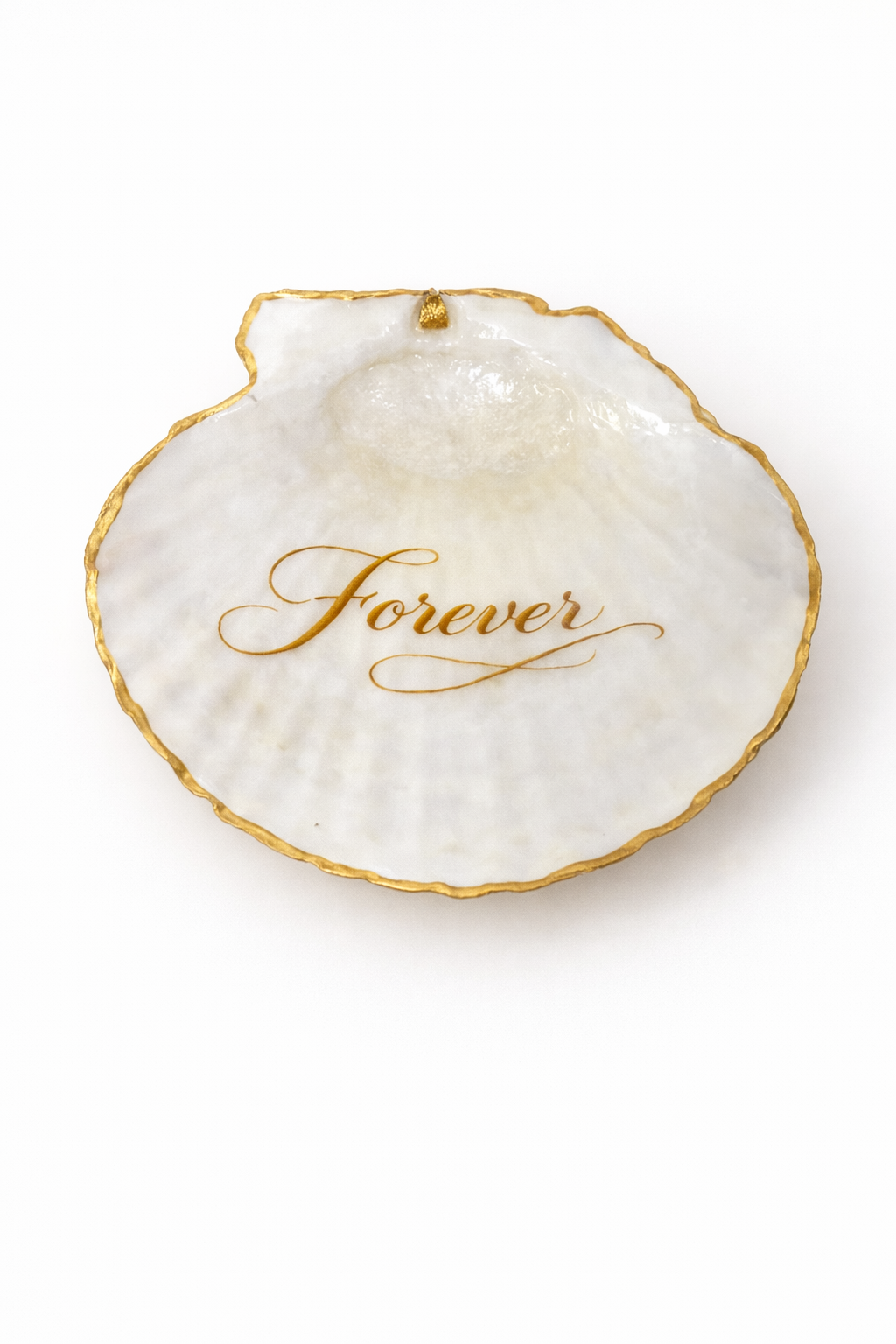 Wedding Shell Collection (Personalized)
