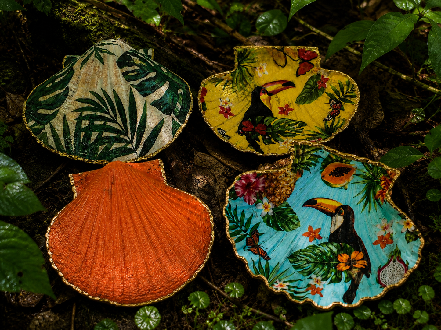 Tropical Toucan Collection