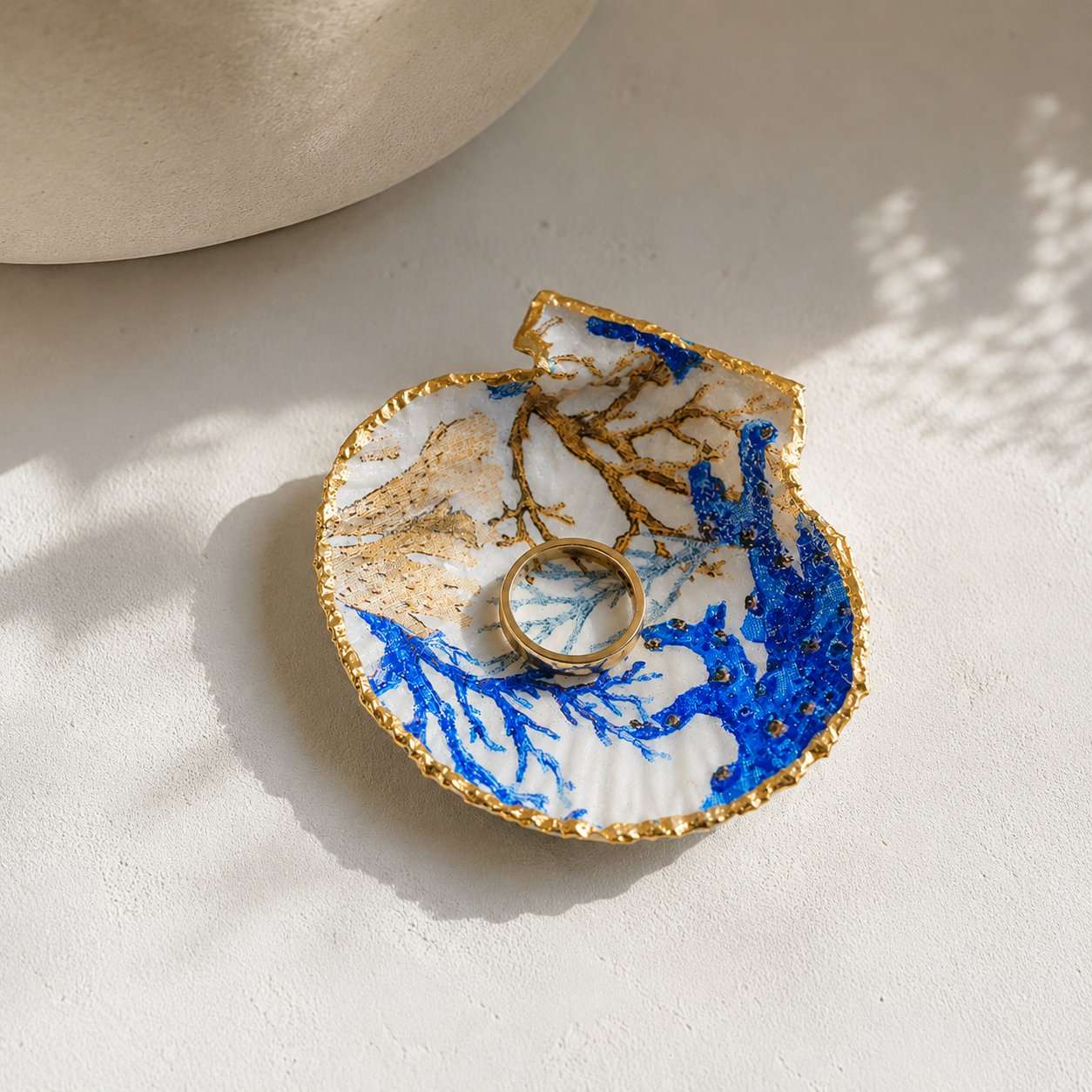 Mediterranean Shell Collection
